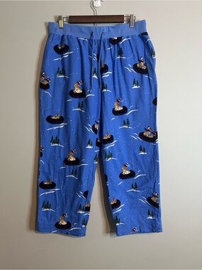 LL Bean Flannel Pajama Pants Women Size Large Petite